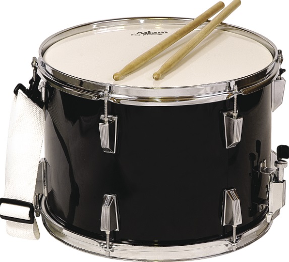 Snares